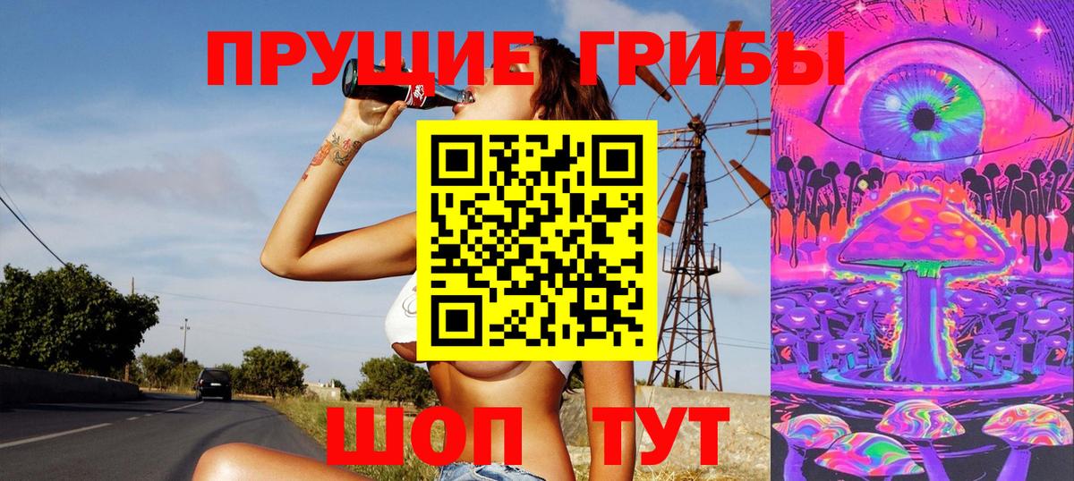 Галлюциногенные грибы Cubensis Кунгур