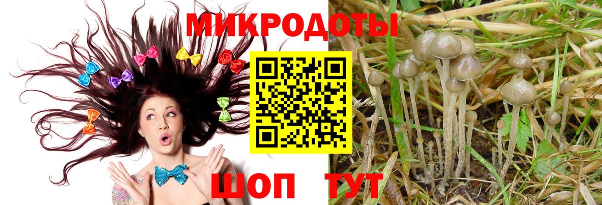 Кунгур  Галлюциногенные грибы GOLDEN TEACHER  Вход с VPN 